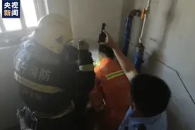 消防员从垃圾管道救出婴儿，嫌疑人竟是孩子的生母图片