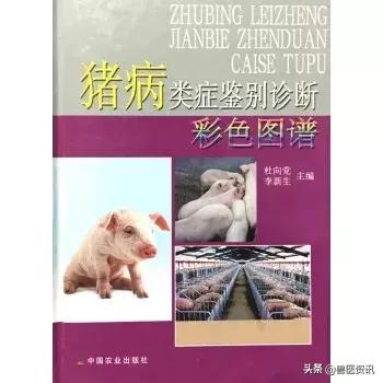 畜牧兽医工作者、猪场人员用书推荐（养猪篇），绝对有你需要的