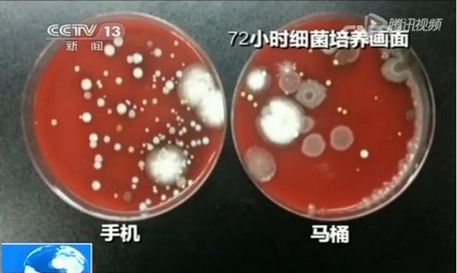 日本实验：病毒沾附手机上可存活24小时！手把手教你给手机消毒