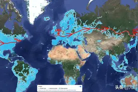 法国主播用街景地图直播126小时环游世界 为动物募捐4.75万欧图片
