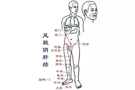 每天2-3点准时醒？可能是这2条经脉“堵”住了！中医教你疏通图片