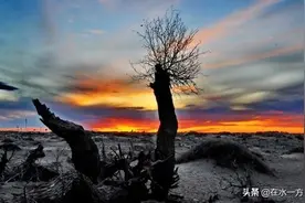 渐渐老去的70后：当我们暮年苍老时，有谁会护我们余生周全？图片
