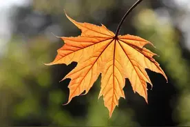 儿媳陪嫁房借小叔子住5年，要求小叔搬走，婆婆：这是我儿子的房图片