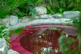 昆明市的露天森林温泉，1元泡温泉，但需要一个独特“证件”！​图片
