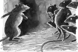 731部队老鼠百炼成精，一瞬间吃掉猫。“鼠回头”能回头？图片