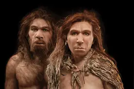 在担心什么？人类为什么要隐藏排卵期？而其他动物都有明确的信号图片