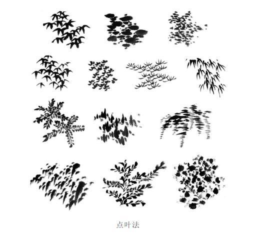 鱼鳞柏树