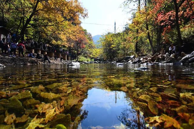 全部的成语！收藏起来，回家教给孩子