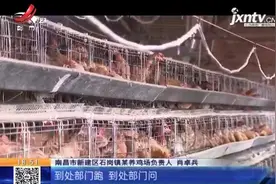 因为一纸文件，男子投资200万元的养鸡场，每天却亏损18000元图片