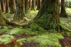 再说“穿越时空隧道”图片