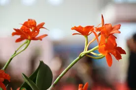 异性之间，关系再好，也要懂得“避嫌”图片