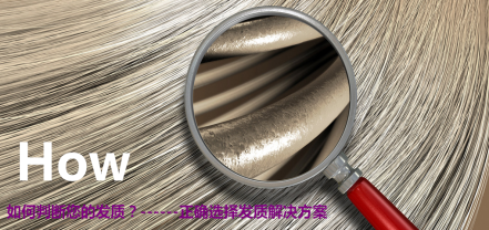 希纯卓妍头条号:美发杂谈第四讲(头屑发质)