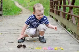 小孩热衷于捡树枝、捡石头、摘花花，那就都来做手工吧图片