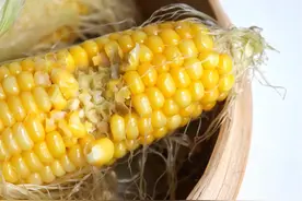 玉米应该煮着吃，还是蒸着吃？现在才明白，这么多年玉米白吃了图片