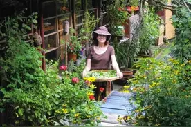 英国在逃贵族：弃千万家产，在日本当农妇25年...她将日子过成诗图片