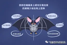 它携带病毒被称为“毒王”，晚上钓鱼时常遇到，钓鱼人最好能避开图片