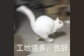 直男群里说了句话，闺蜜竟把我当场拉黑，这什么虎狼之词？图片