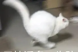 直男群里说了句话，闺蜜竟把我当场拉黑，这什么虎狼之词？图片