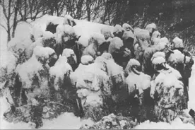 1902年，日本210人进雪山，3天后仅11人存活，幸存者说出噩梦历程图片