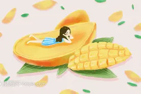 芒果飘香，想不想一口一个小台农，多彩小贵妃吃到爽？满足你！图片