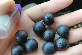 黑坑钓青鱼都在用这种“珠珠”，假饵为何比真饵还受欢迎？图片