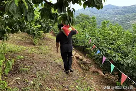 访简阳乡间寒山小庙，85岁老人独居于此，过着简朴原始的修行生活图片