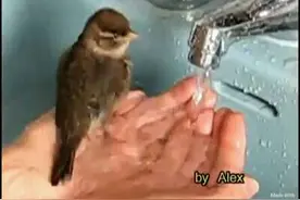 钓鱼佬的春天图片