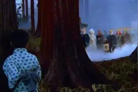 《海贼王》的菊与刀【十】：日本神话的狐狸，背后势力你得罪不起图片