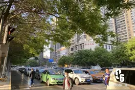 “神兽”归笼，今天家长们都乐疯了！图片
