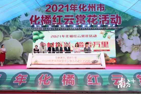 厉害！化州谋划化橘红国际化之路，引领产业高质量发展图片