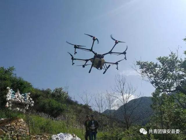 镇安县首次开展核桃病虫害无人机飞防工作