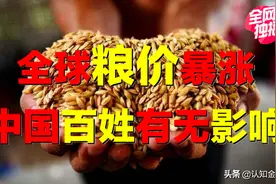 全球开启抢粮大战，粮食危机将爆发？中国人的米袋子，能否保住？图片