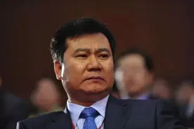 200亿元不到4年变成30多亿元，苏宁当年的那笔投资输得有多惨图片