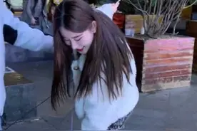 主人带着四只柯基出门，小姐姐见后非要自己遛，三分钟后乐坏了图片