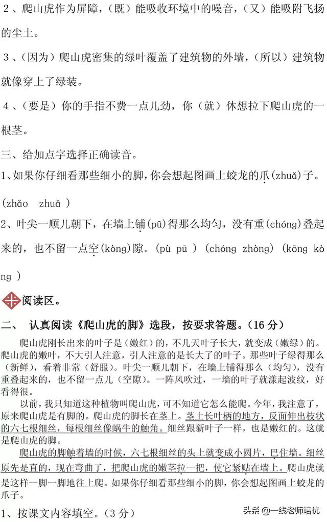 知识点+同步练习题 部编版四年级语文上册 10 爬山虎的脚