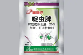 啶虫脒不一样的杀虫机理，对有机磷、拟虫菊酯类有抗性害虫试试它图片