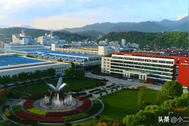 丽水纳爱斯集团简介图片