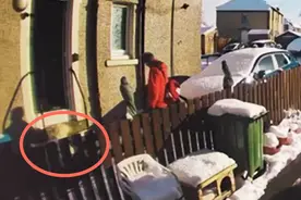 72岁英国老人雪地摔倒求救，快递小哥称“太累”走开，家人要求公司解雇图片