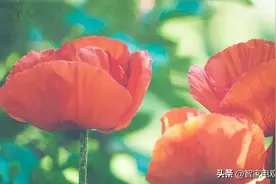 外资家电品牌纷纷出售资产，中国企业需要擦亮眼睛图片