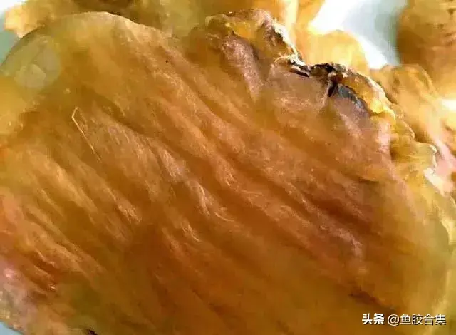 赤嘴鱼胶有几种 赤嘴鱼胶有几种品种