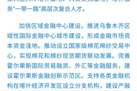 乌鲁木齐要建区域性国际金融中心城市了，看看这个中心含金量多高图片