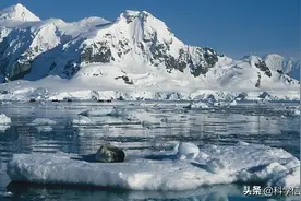 大海深不见底，但并非所有的大海都如此，渤海就是个例外图片