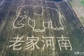 河南为啥简称“豫”？| 豫记图片