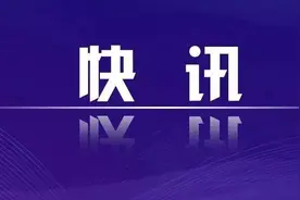 山东4地纪委监委通报！图片