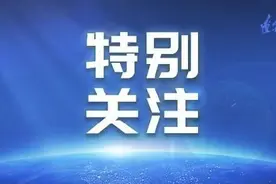 泪目！主人去世5年，“忠犬大黄”跑遍沈城寻主图片