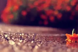 放下一个人最好的方式，只有四个字图片