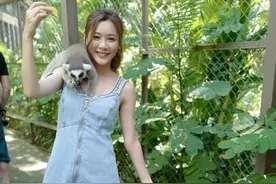 大解放！TVB人气女神节目晒性感：游览动物园惨遭猴子“咸猪手”图片