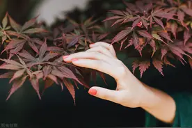 故事：女将军出征大胜归来，帝王下旨给她奖赏，入主中宫册封皇后图片