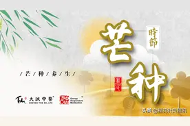 芒种护脾，祛湿先行，身体自备“平胃散”图片