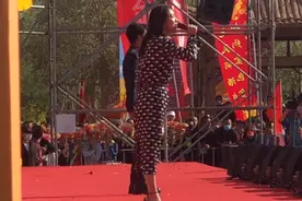 凤凰传奇商演现场曝光，玲花踩细高跟身形圆润，4首歌价位引争议图片